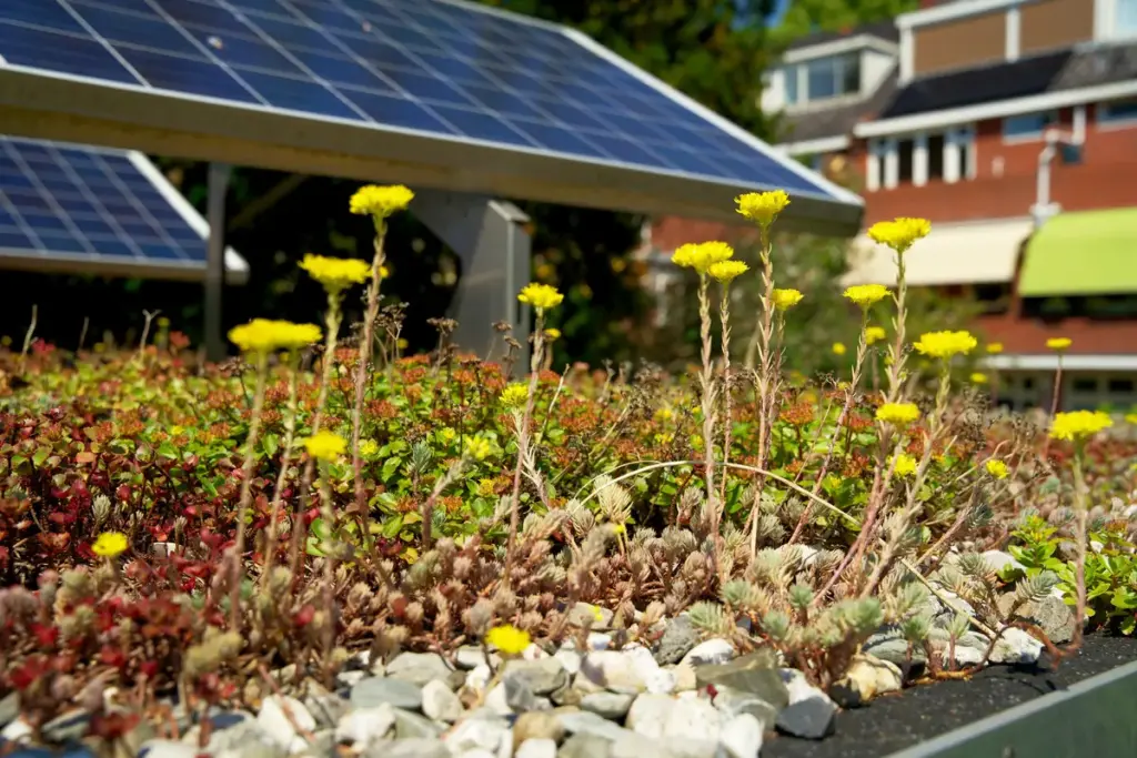 Solaranlagen auf begrüntem Dach für erneuerbare Energien